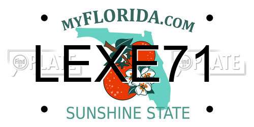 LEXE71 Florida License Plate