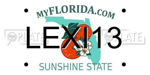 LEXI13 Florida License Plate