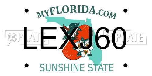 LEXJ60 Florida License Plate