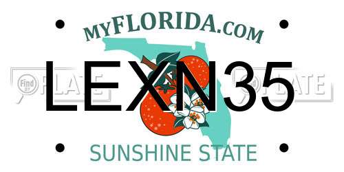 LEXN35 Florida License Plate