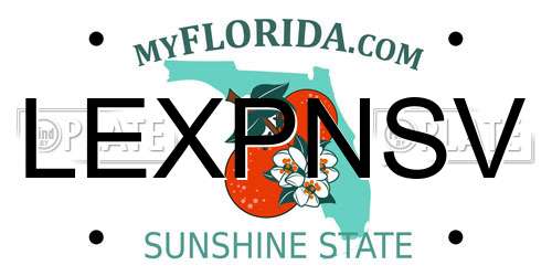 LEXPNSV Florida License Plate