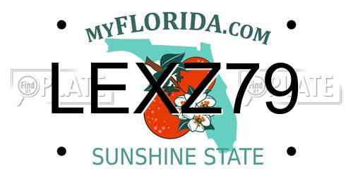 LEXZ79 Florida License Plate