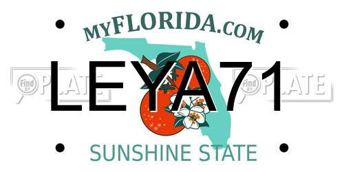LEYA71 Florida License Plate