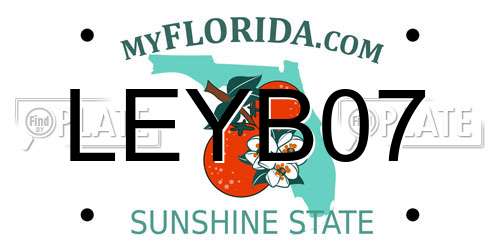 LEYB07 Florida License Plate