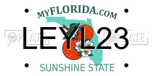 LEYL23 Florida License Plate