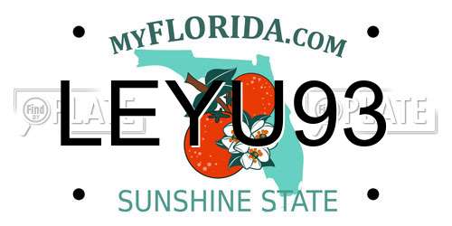 LEYU93 Florida License Plate
