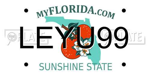 LEYU99 Florida License Plate