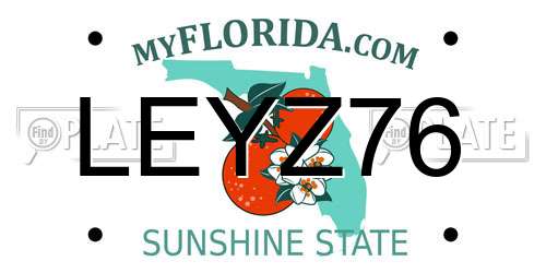 LEYZ76 Florida License Plate