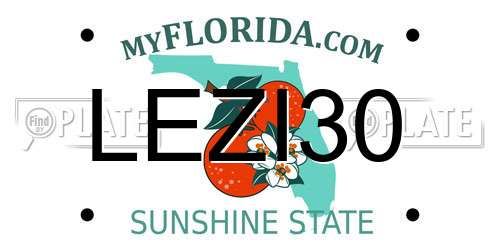 LEZI30 Florida License Plate