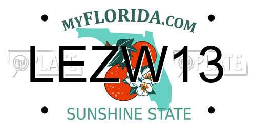 LEZW13 Florida License Plate