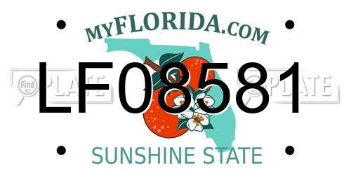 LF08581 Florida License Plate