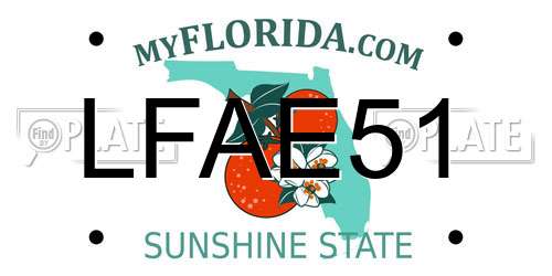 LFAE51 Florida License Plate