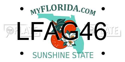 LFAG46 Florida License Plate
