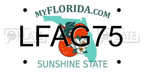 LFAG75 Florida License Plate