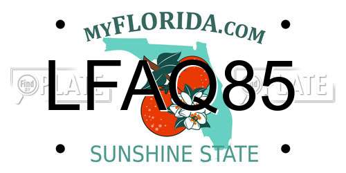 LFAQ85 Florida License Plate