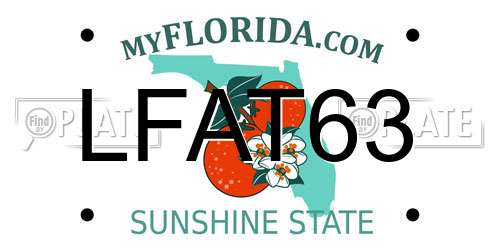 LFAT63 Florida License Plate