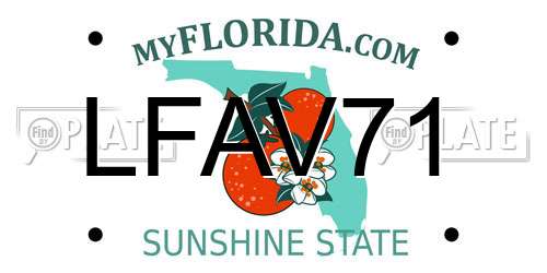LFAV71 Florida License Plate
