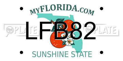 LFB82 Florida License Plate
