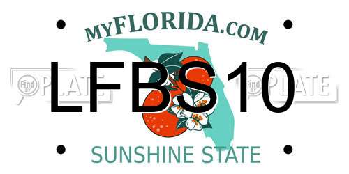 LFBS10 Florida License Plate