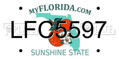 LFC5597 Florida License Plate