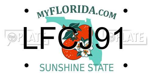 LFCJ91 Florida License Plate