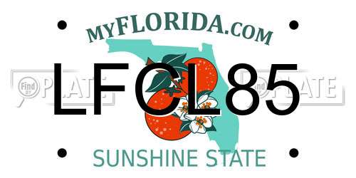 LFCL85 Florida License Plate