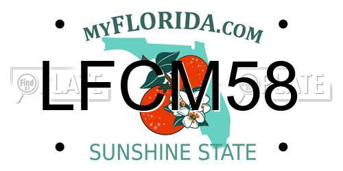 LFCM58 Florida License Plate