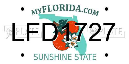 LFD1727 Florida License Plate