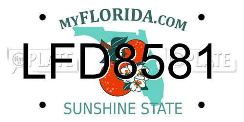 LFD8581 Florida License Plate