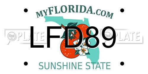 LFD89 Florida License Plate