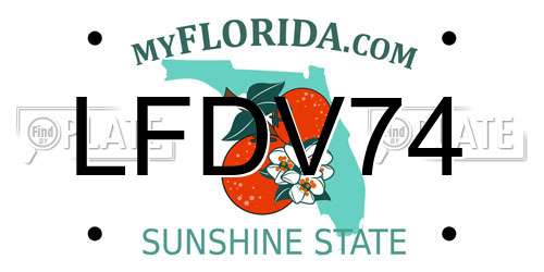 LFDV74 Florida License Plate