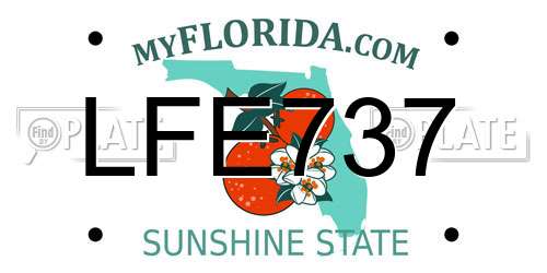 LFE737 Florida License Plate