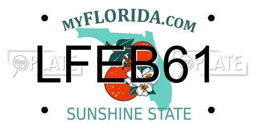 LFEB61 Florida License Plate