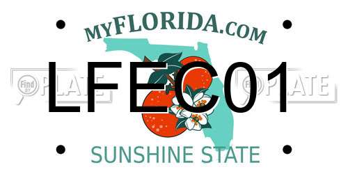 LFEC01 Florida License Plate