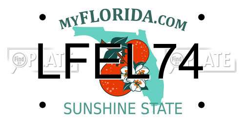 LFEL74 Florida License Plate