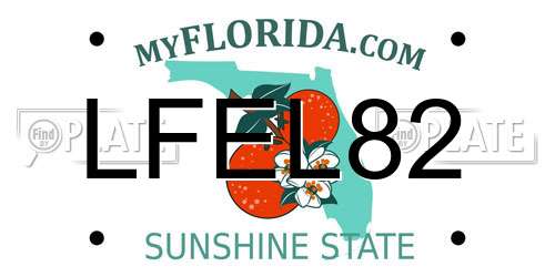 LFEL82 Florida License Plate