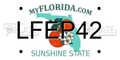 LFEP42 Florida License Plate