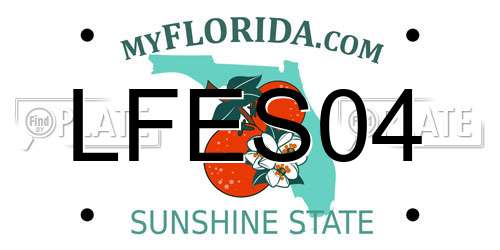 LFES04 Florida License Plate