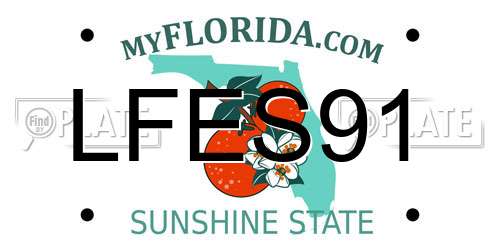 LFES91 Florida License Plate