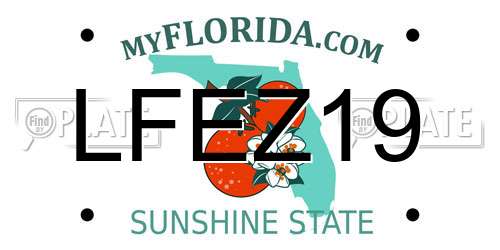 LFEZ19 Florida License Plate