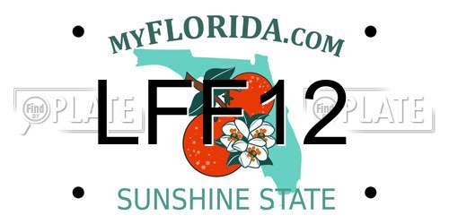 LFF12 Florida License Plate