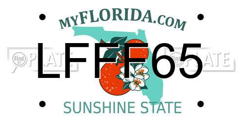 LFFF65 Florida License Plate