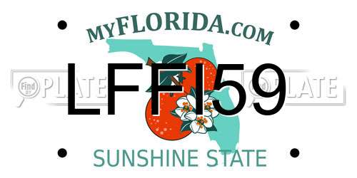 LFFI59 Florida License Plate