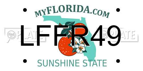 LFFR49 Florida License Plate