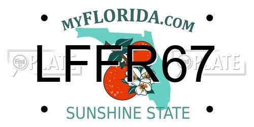 LFFR67 Florida License Plate