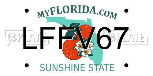 LFFV67 Florida License Plate
