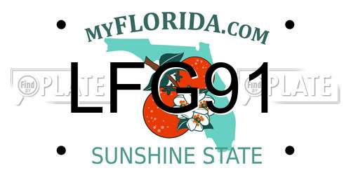 LFG91 Florida License Plate