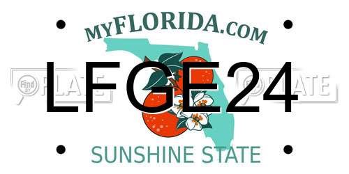 LFGE24 Florida License Plate