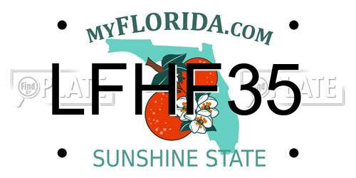 LFHF35 Florida License Plate