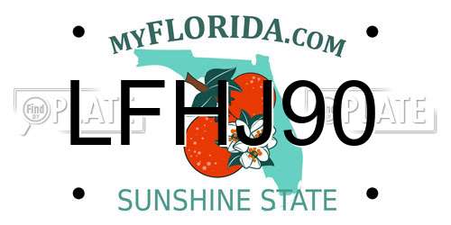 LFHJ90 Florida License Plate